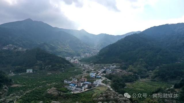宾阳陈平名山梅花盛放！1月10日，共赴一场暗香浮动的花期