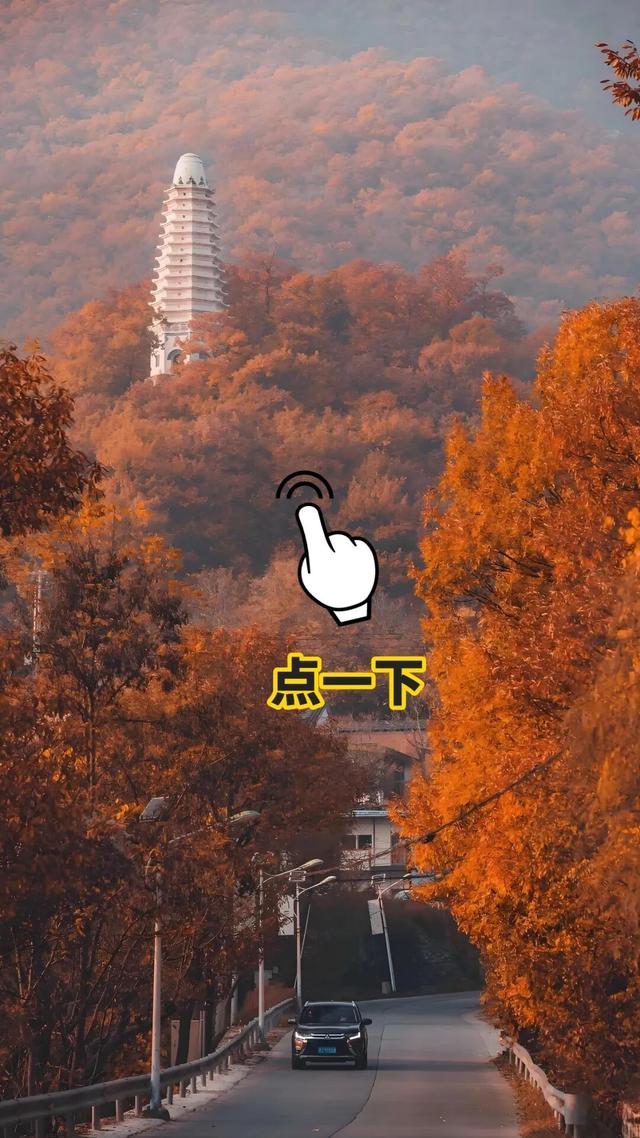 你拍的红叶总“差点意思”？问题可能出在第一步！