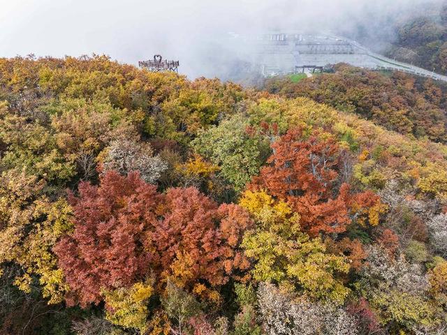 保康：彩林入画醉横冲 层林尽处听风吟