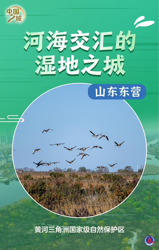 中国之城丨山东东营：河海交汇的湿地之城