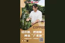 这位姐，把咖啡种出“广东味” | 云浮青春合伙人·第二季图片