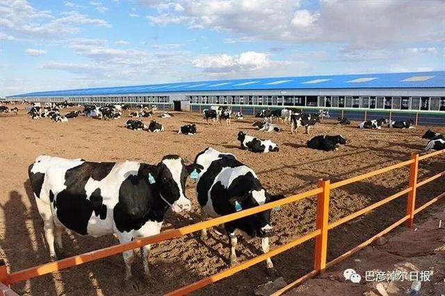 巴彦淖尔这座城，比你想象的更“宝藏”