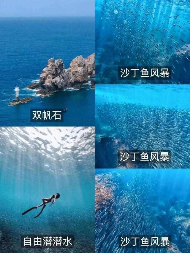 “潮起陵水・星耀黎安”群星演唱会10月25日开幕！专属福利来啦！