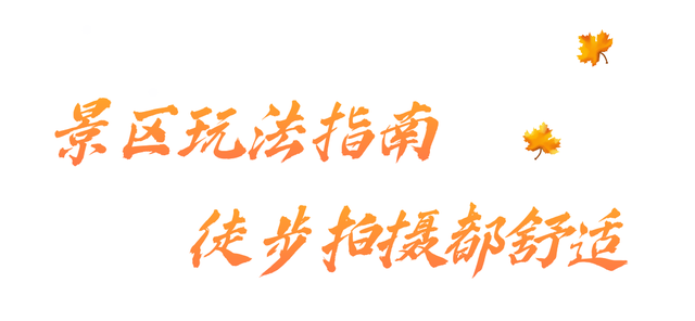 实拍亚拉雪山，11月的川西美景势必再火一个！