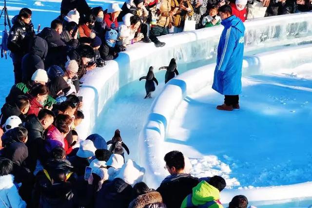 在呼和浩特过年到底有多好玩？看完你就知道了