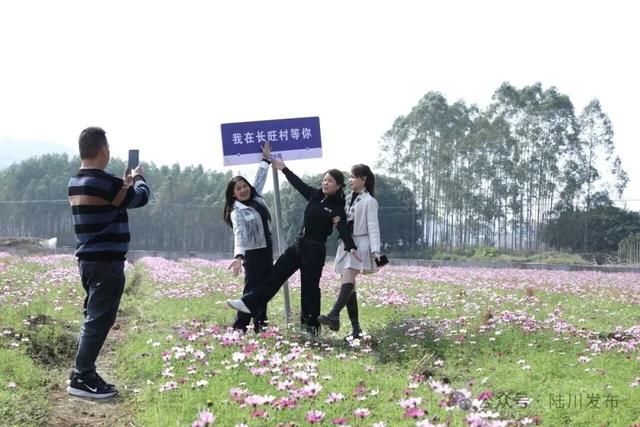 约吗？百亩格桑花海怒放，玉林这个村美出圈