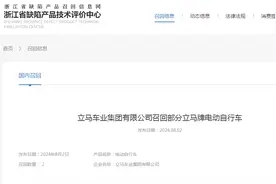 立马车业集团有限公司召回部分立马牌电动自行车（2辆）图片