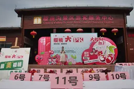 谁最甜？郑州樱桃沟“最大、最甜、最美”樱桃揭晓图片