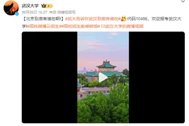 “北京到底有谁在”火了，武大也用上林更新转场图片