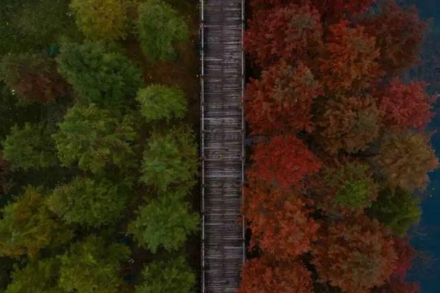 超美超出片！荆门这些宝藏地，附详细打卡攻略