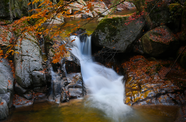 余先怀专栏｜秋染十八月潭
