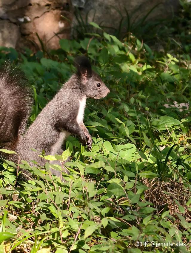 如何描述“北京的秋”？这是一期有温度的推送……