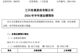 三只松鼠2024年上半年延续增长势头图片