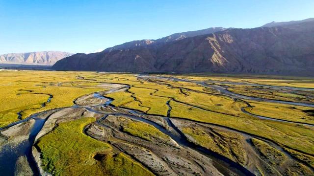 新疆塔什库尔干县：守护高原金草滩 湿地为卷写新篇