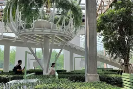 书香、绿林、大海……在文化街区打开中国人的自在生活图片