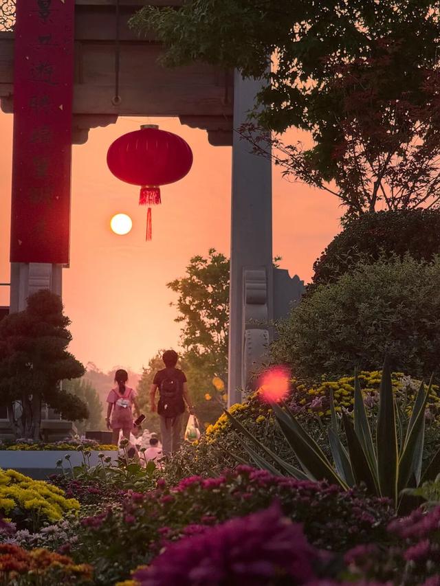 来栖霞山，主打一个快乐又松弛~