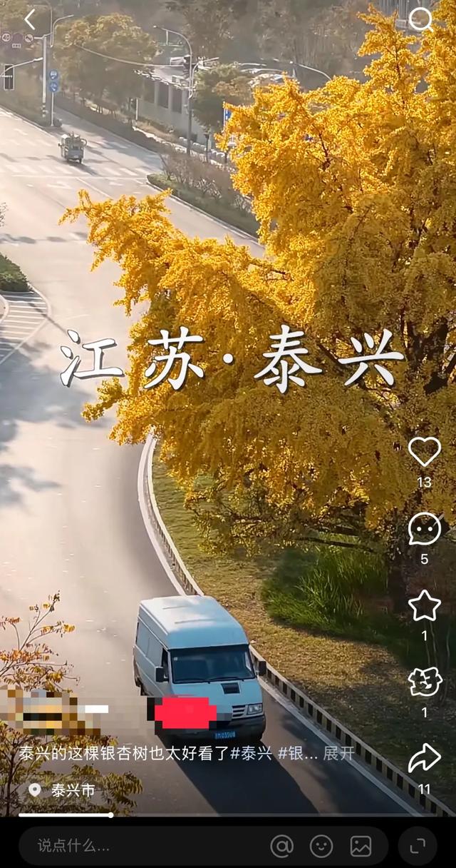 卷了一周的江浙沪白领，周末又去这个县城排队