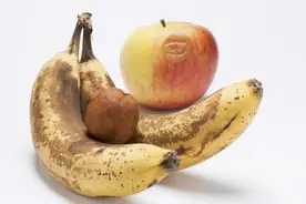 夏季注意，小心一口就中招！图片