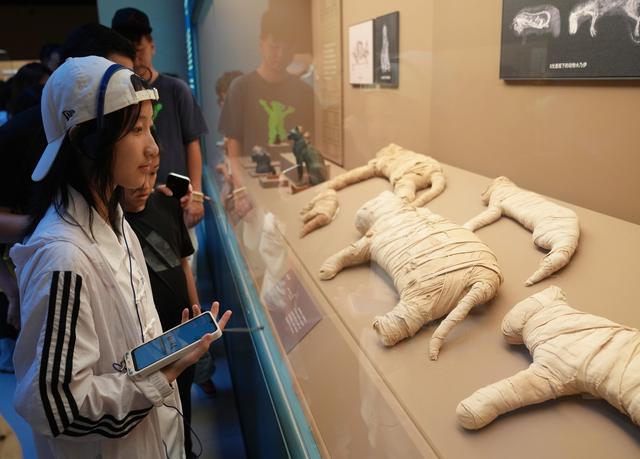 新华全媒＋｜博物馆不眠夜：上博古埃及文明大展开启168小时嘉年华