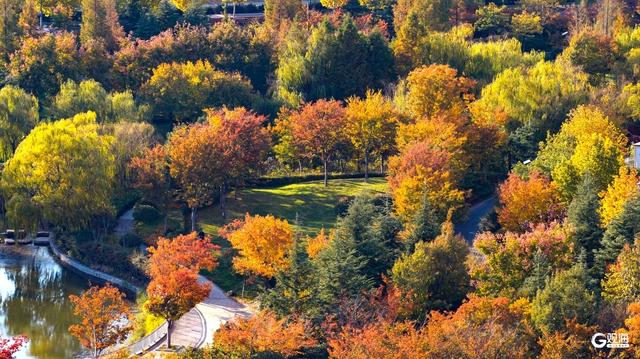深秋时节，碧水彩林相映美