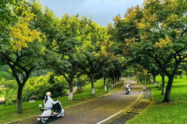 假如秋冬有颜色，肇庆便是一场多彩盛宴～