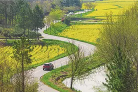 江苏常州：春天里来百花香图片