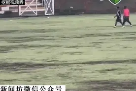 悲剧！秘鲁球员下场时被闪电击中！多人死伤！图片