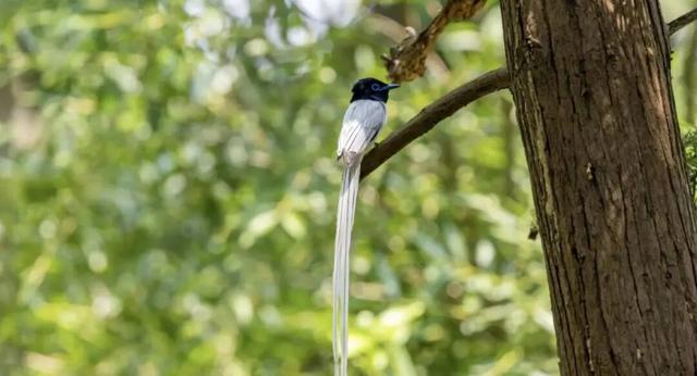 无锡最新追“星”指南，速收藏！