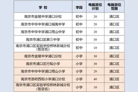 刚刚，南京市浦口区热点公办学校和民办学校摇号计划出炉图片