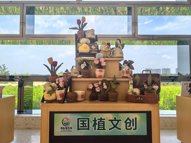 国家植物园“汉风植韵 万物共生”主题公园周在路县故城遗址公园启幕