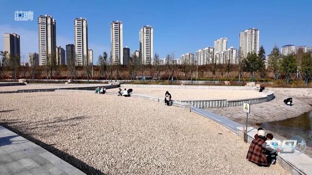 青岛这个公园你去过吗？藏着一个厉害之处……