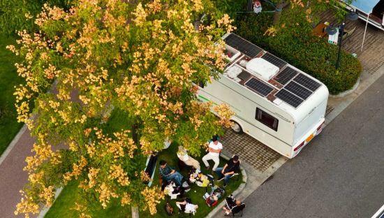 九江市八里湖新区：秋日栾树色彩活