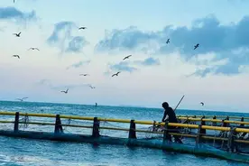 林峰：从互联网大厂“程序猿”创业转型为“卖鱼佬”图片