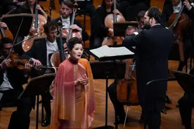 维也纳交响乐团的“弱德之美”图片