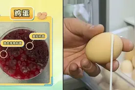 别让冰箱成为“细菌培养皿” 这份使用指南请收好图片