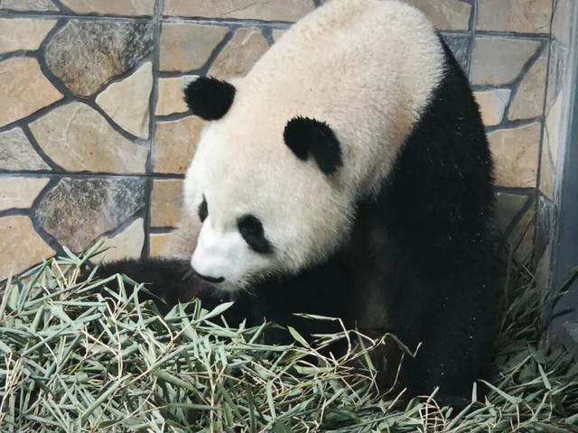 假期8天快乐不重样，包好玩的！