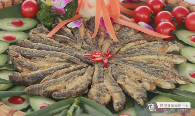 南宁就是冬日旅游天花板！摘果+跑马+演唱会+美景打卡，带你玩转“水果自由”之旅