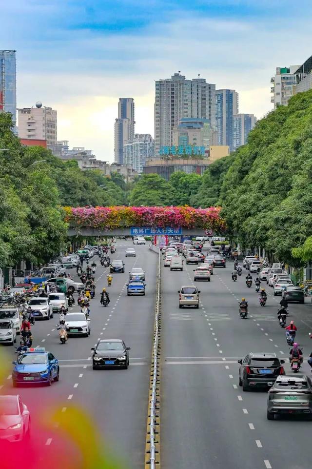 11月的浪漫被TA承包了！南宁“空中花桥”火了，秒变童话世界