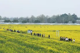 成都市新都区军屯镇：“五清”擦亮天府粮仓“金色”底色图片