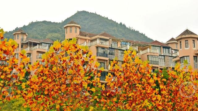 初冬景色 斑斓如画