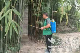 老河口市城市管理执法局开展 “防蚊灭蚊”爱国卫生运动图片