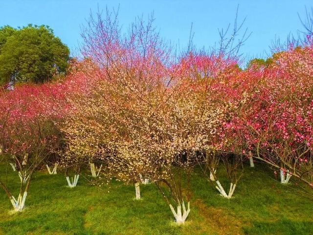 开了？达州：真的开了！