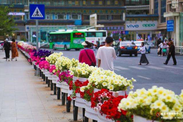 临夏市：一座把“浪漫”写进马路牙子的城市