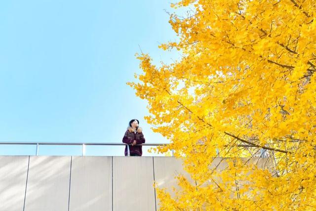 限时绝美！年度顶流！