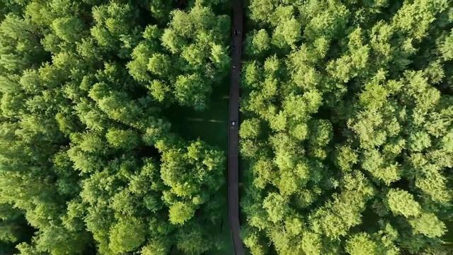 “双节”期间文旅市场百花齐放 多元业态激活消费新活力