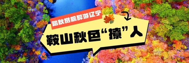 层林尽染、漫山绚烂，这就是辽东的秋天！