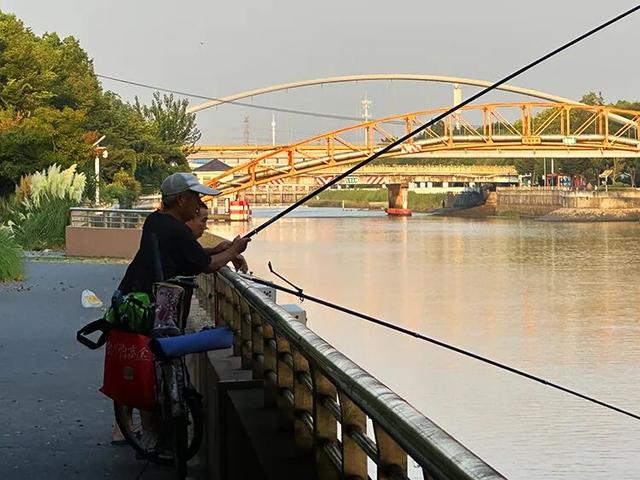 漫步淀浦河遇“左岸”，解开城市水岸命名密码