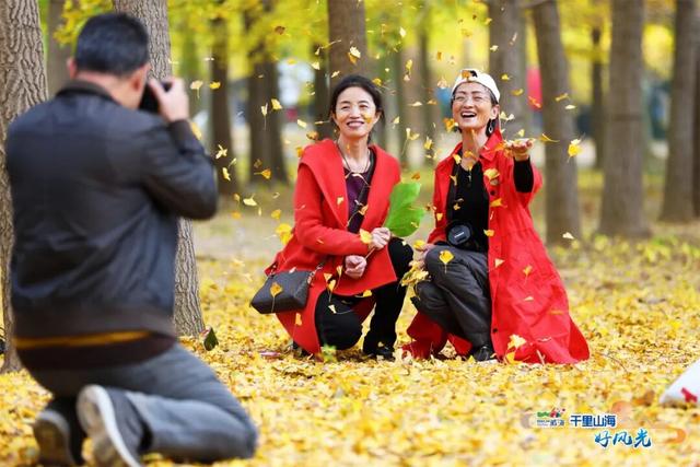 出发！抓住秋天的尾巴威海『拾秋地图』上新啦