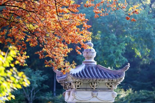 “CHUA”的一下，65%！