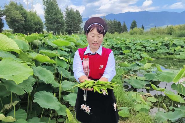 旅居大理｜鹤庆草海：荷风入馔，舌尖收藏夏日限定